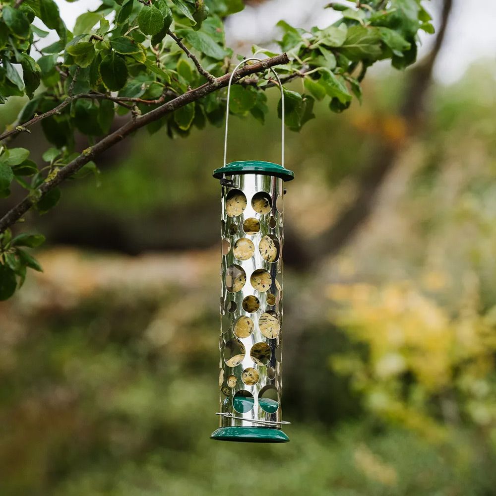 Peckish All Weather Energy Ball Feeder