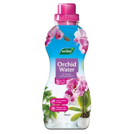 Westland Orchid Water