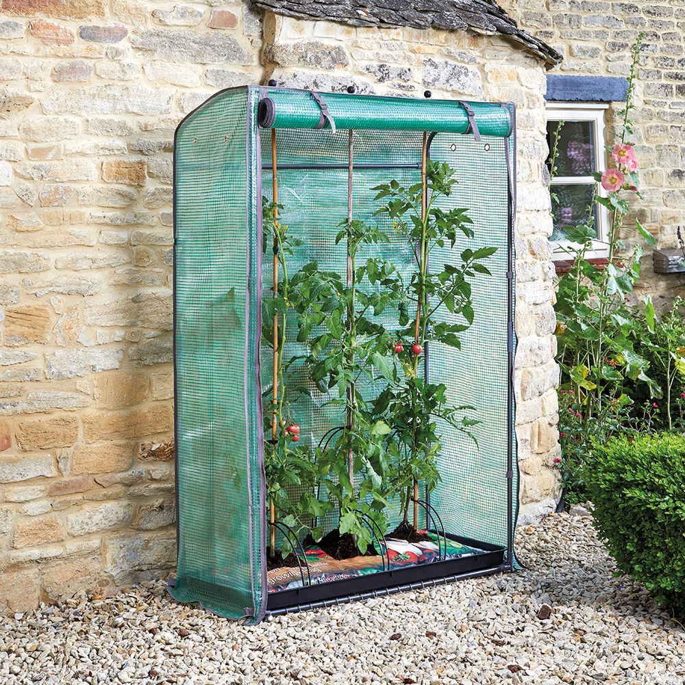 Smart Garden Tomato GroZone Growhouse