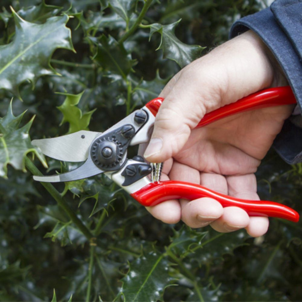 Darlac Expert Bypass Pruner