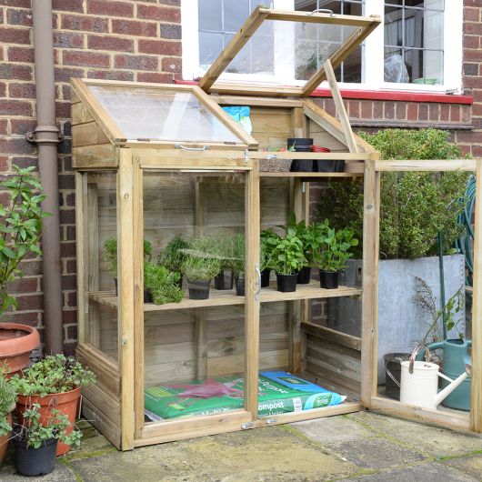 Forest Garden Mini Greenhouse (Home Delivery)