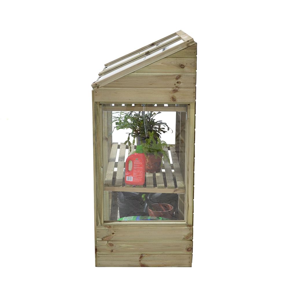 Forest Garden Mini Greenhouse (Home Delivery)