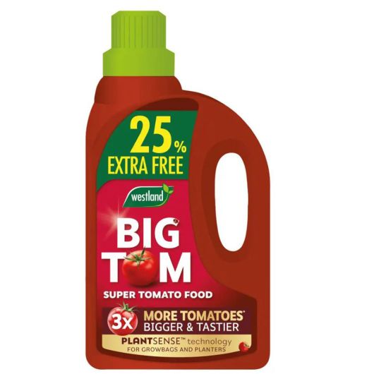 Westland Big Tom Super Tomato Food 1L +25% Extra Free