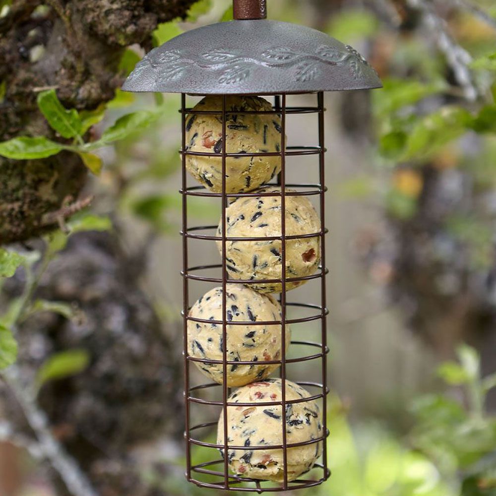 Peckish Secret Garden Energy Ball feeder