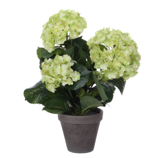 Green Artificial Hydrangea in pot