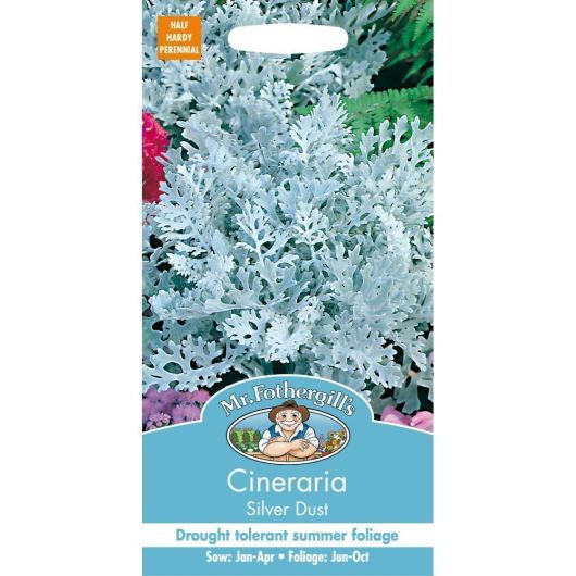 Mr Fothergill's Cineraria Silver Dust