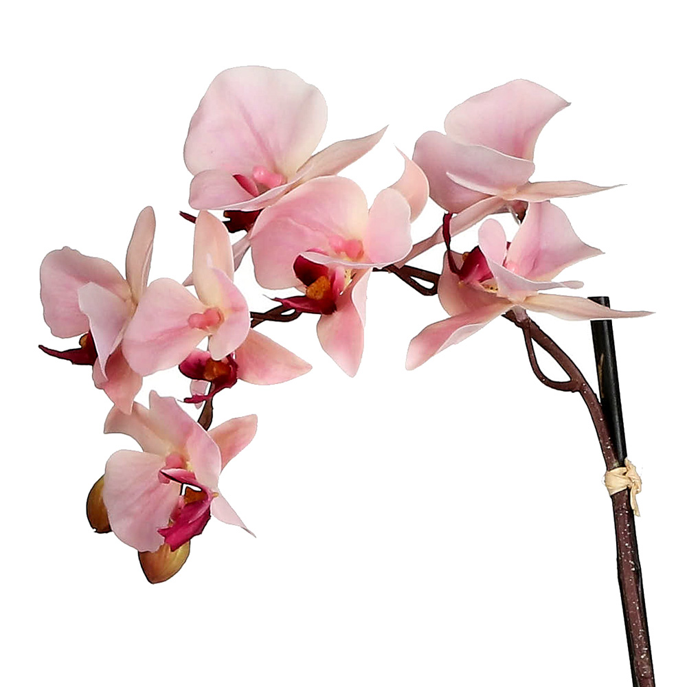 Pink Artificial Orchid with ceramic pot