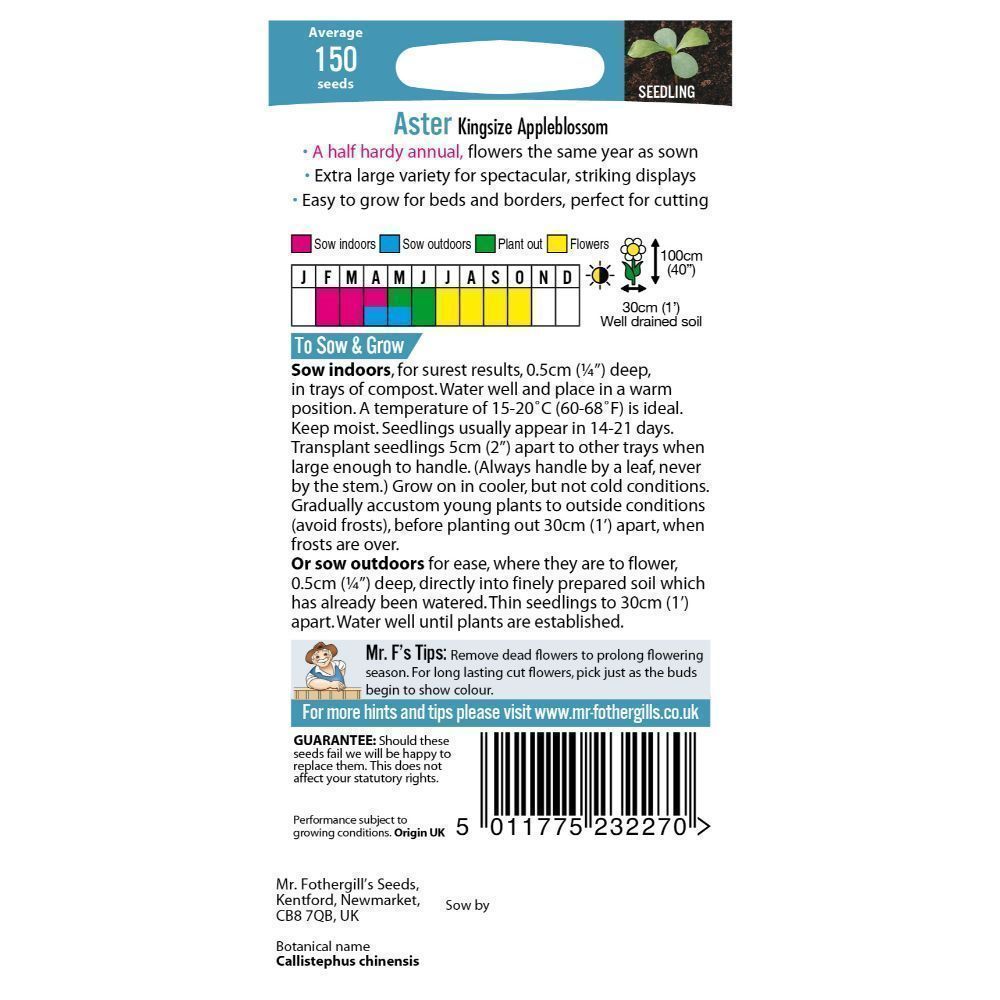 Mr Fothergill's Aster Kingsize Appleblossom