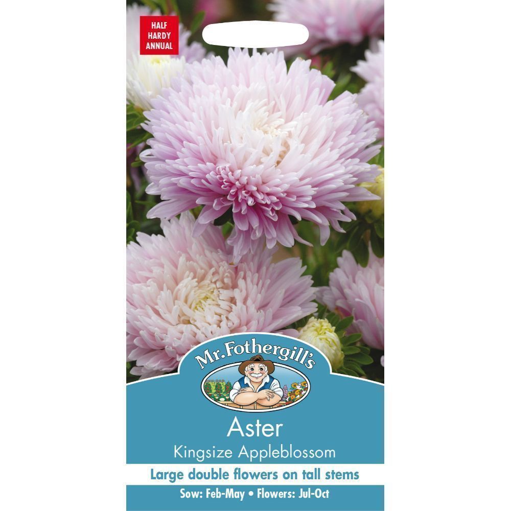 Mr Fothergill's Aster Kingsize Appleblossom