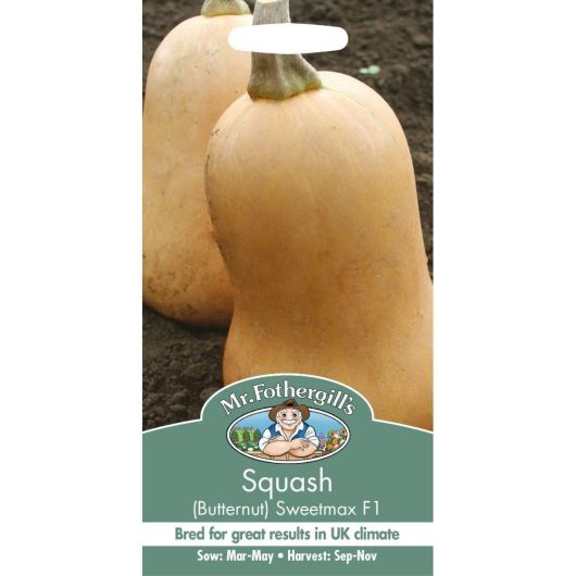 Mr Fothergill's Squash Butternut Sweetmax F1