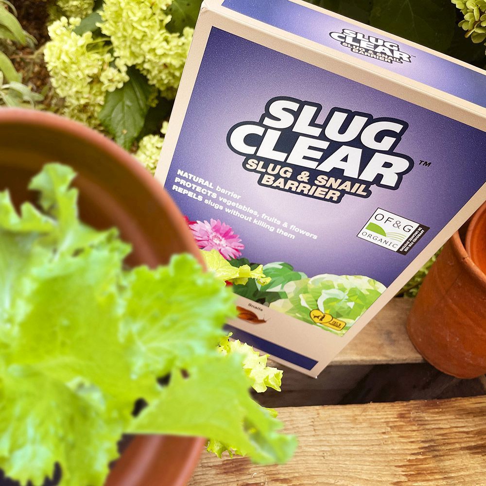 Clear SlugClear Slug & Snail Barrier 2.5 kg