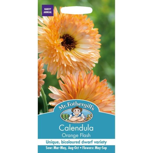 Mr Fothergill's Calendula Orange Flash