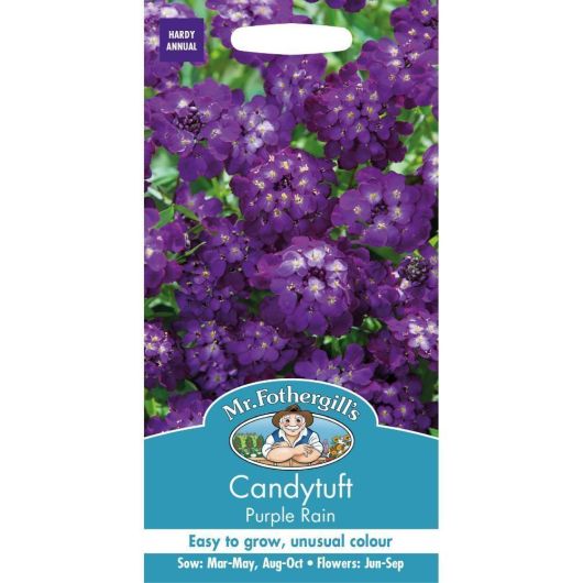 Mr Fothergill's Candytuft Purple Rain