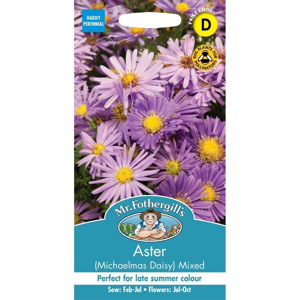 Mr Fothergill's Aster Michaelmas Daisy Mixed