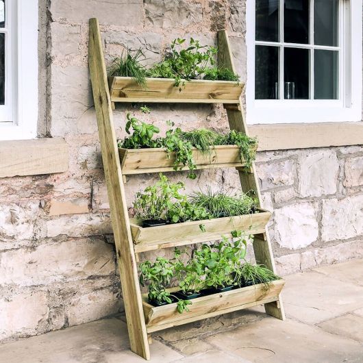 Zest Ladder Planter