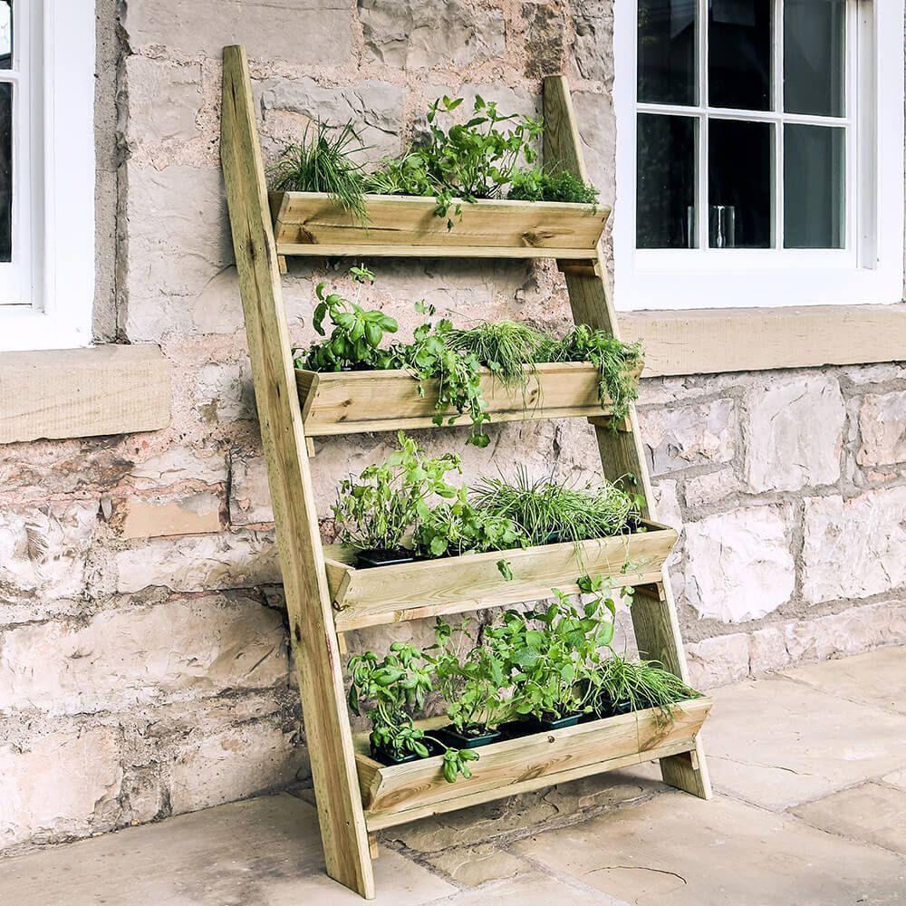 Zest Ladder Planter