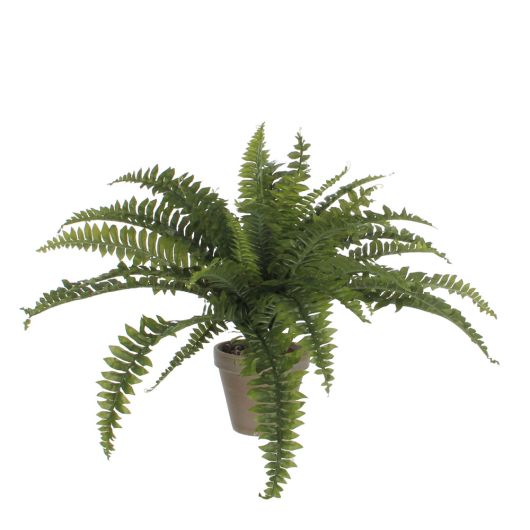 Boston Fern artificial houseplant in pot