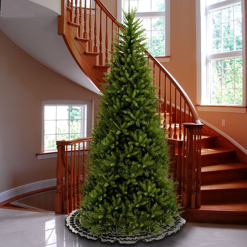 National Tree Dunhill Fir Slim Tree 4.3m (14ft)