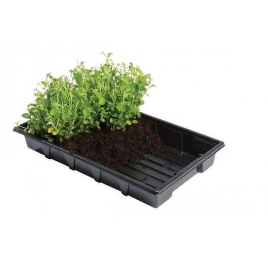 Garland Profesional Garden Trays 37cm X 23cm - 5 Pack