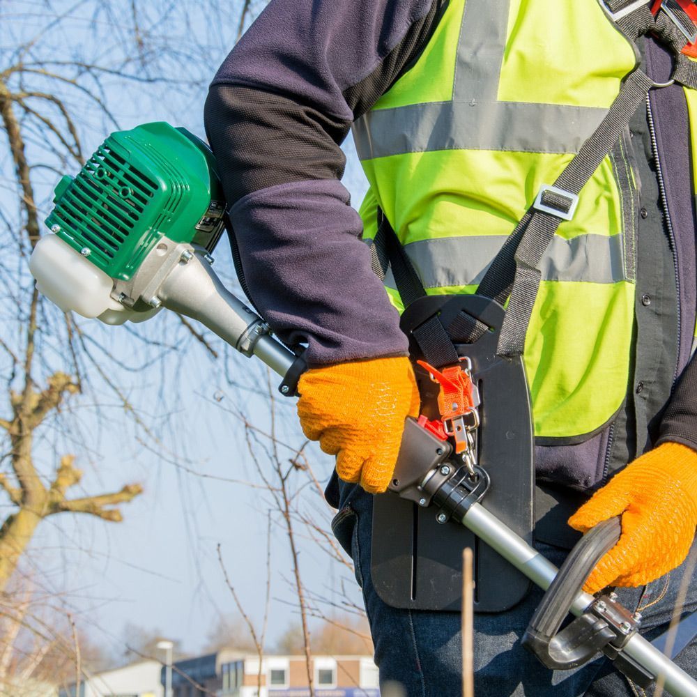 Webb 26cc 25cm Straight Shaft Loop Handled Petrol Brush cutter