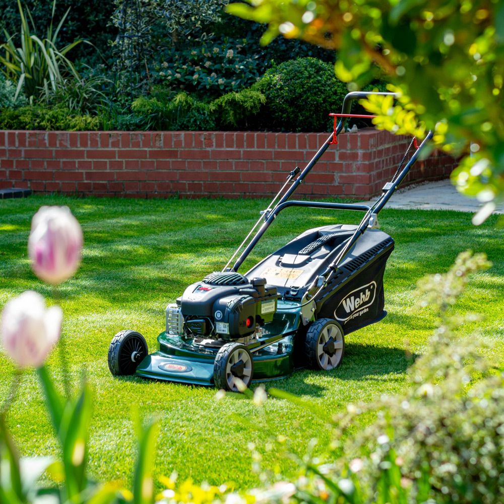 Webb 46cm Petrol Rotary Lawnmower